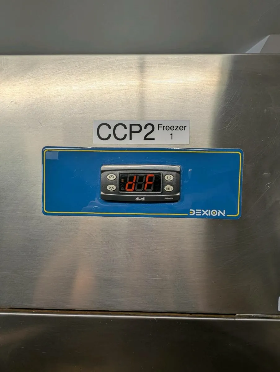 Commercial Freezer Upright - Image 2