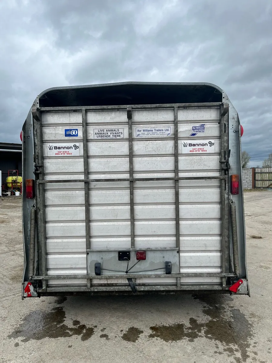 14ft tri axle ifor Williams cattle trailer - Image 3