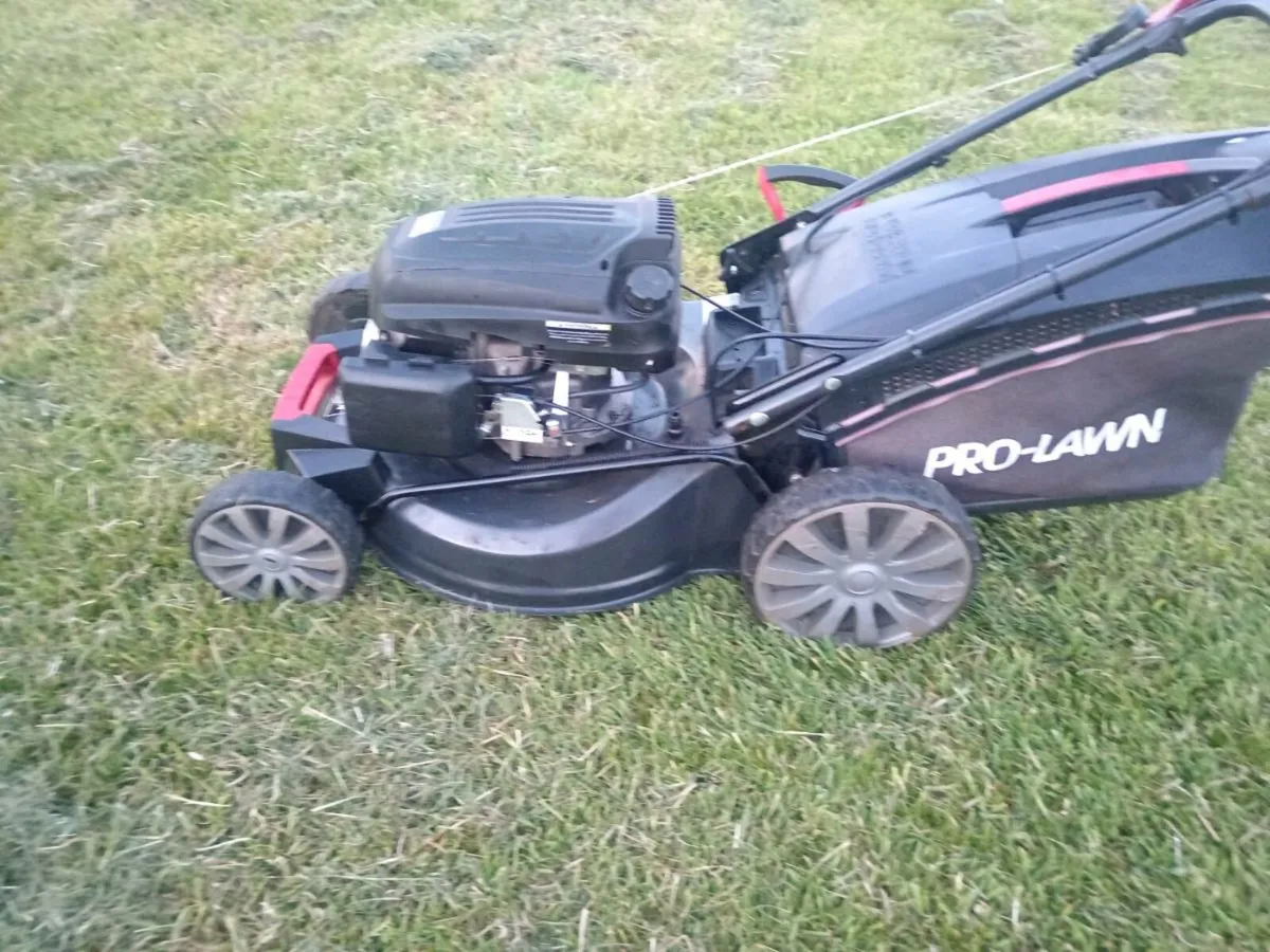 Lawnmowers - Image 1