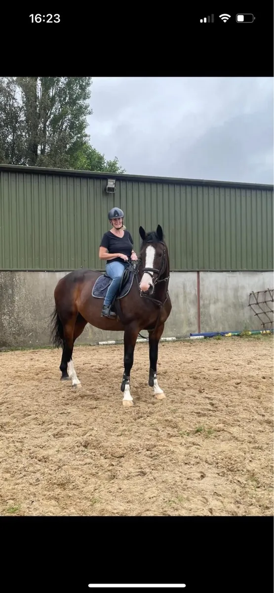 Schoolmaster - Image 1