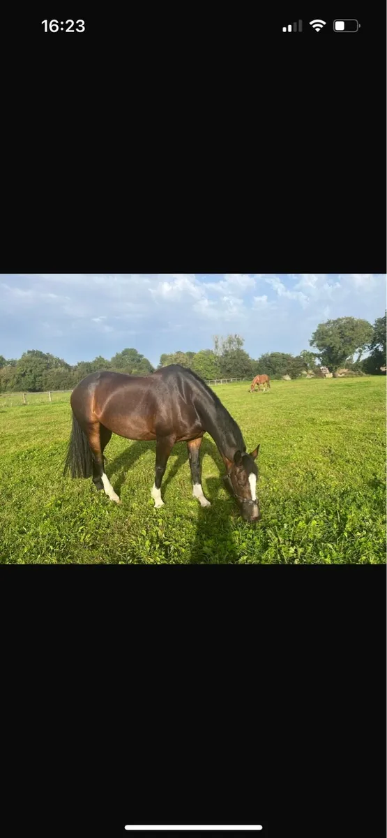 Schoolmaster - Image 4