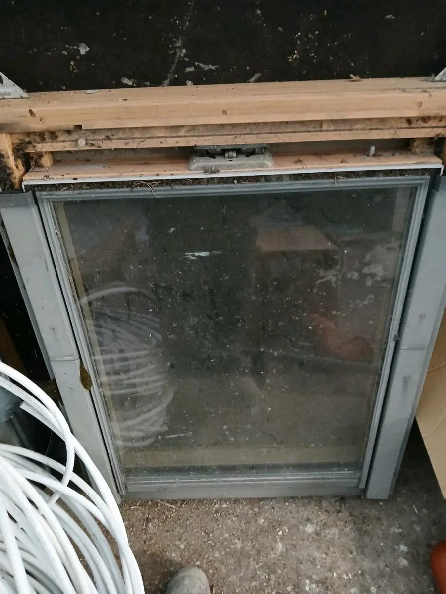 Velux windows