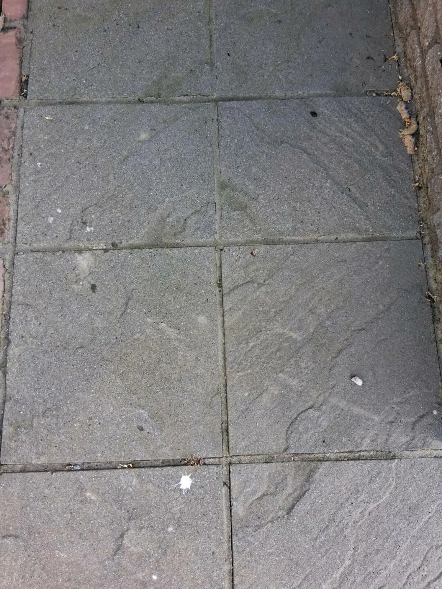 Paving slabs - Image 1