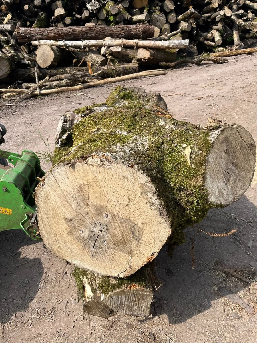 Milling logs - Image 1