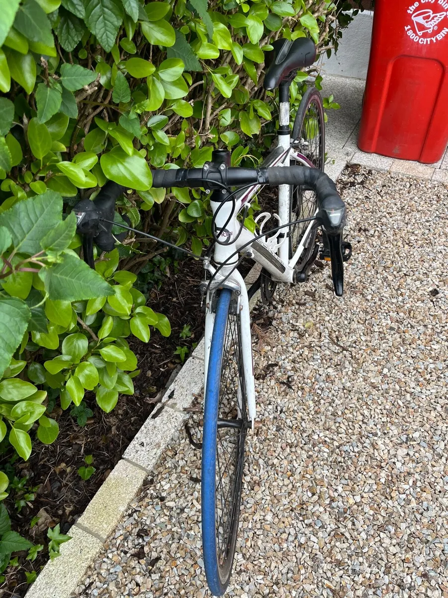 Female Racer Bike - Image 2