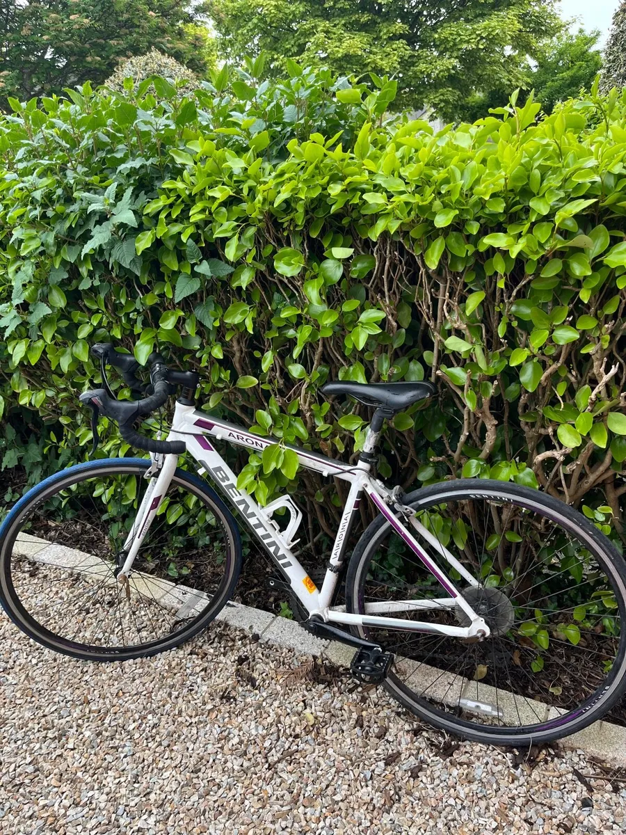 Female Racer Bike - Image 4