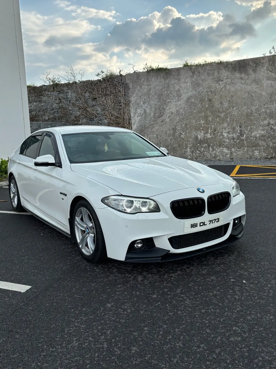 161 BMW F10 520D M-SPORT - Image 1