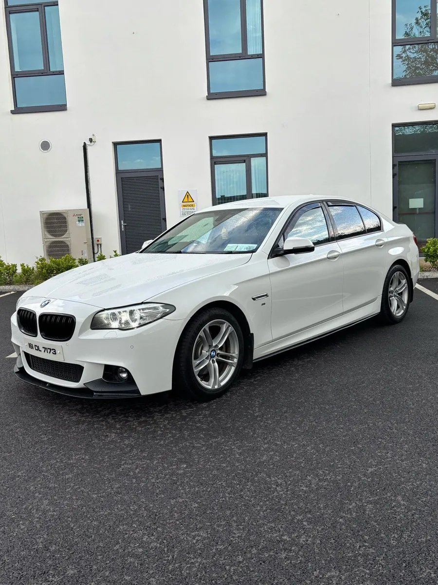 161 BMW F10 520D M-SPORT - Image 2