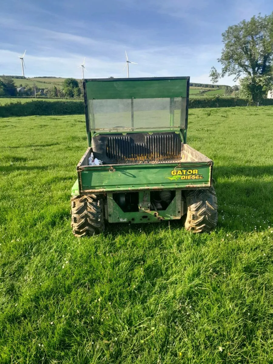 Gator - Image 4