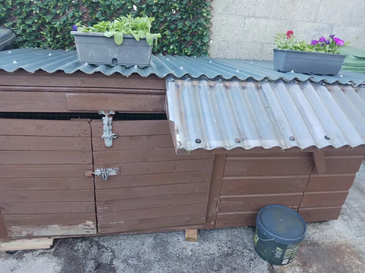 Dog box - Image 1
