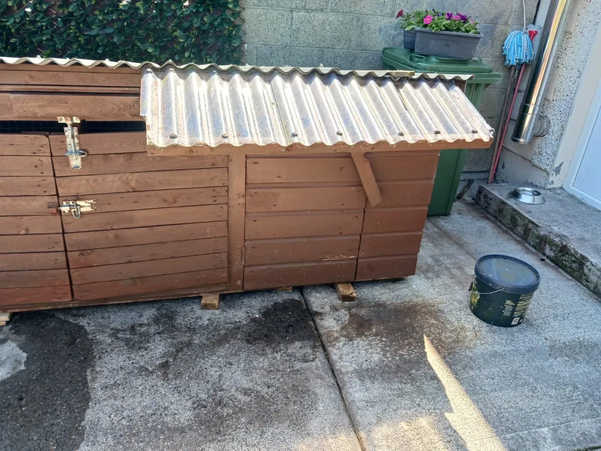 Dog box - Image 4