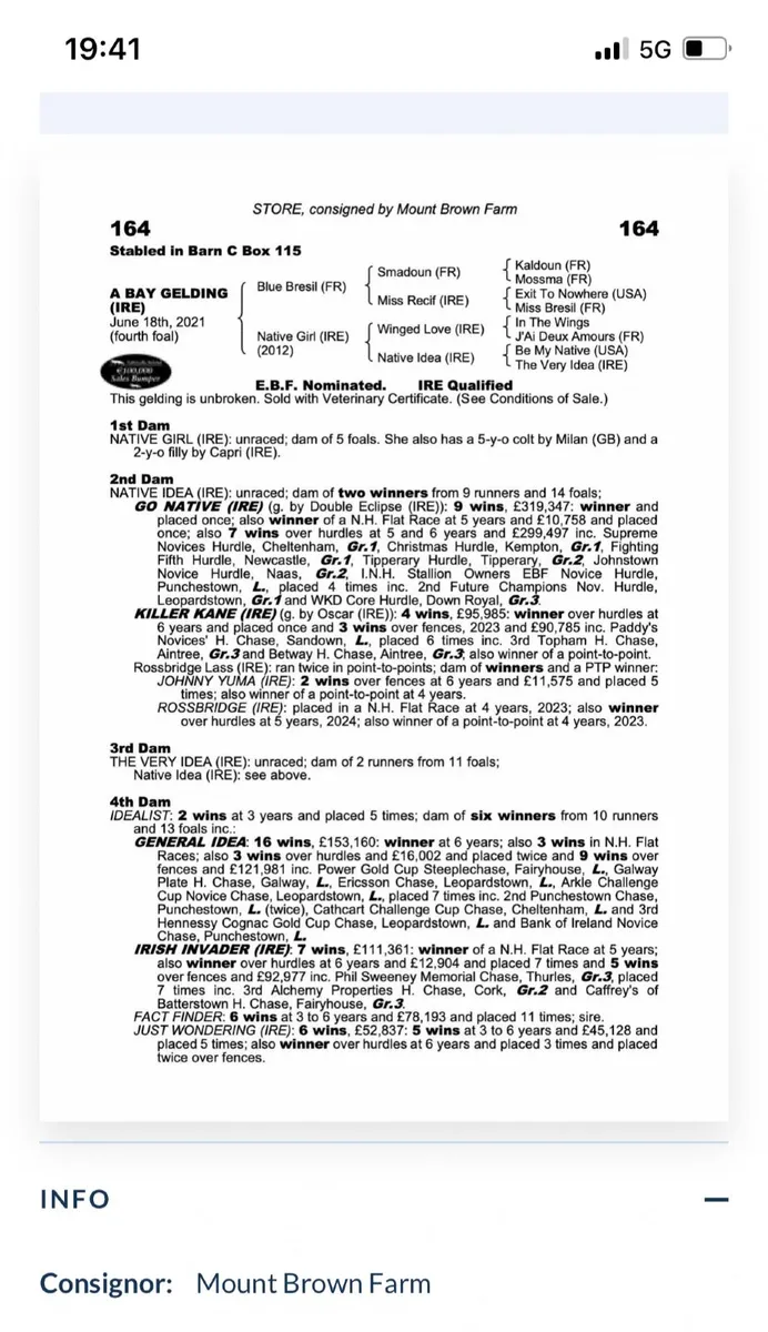 Racehorse - Image 4