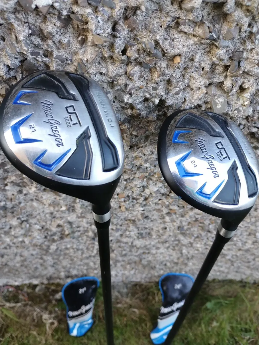 2 lovely hybrid's 21 and 24 - Image 1