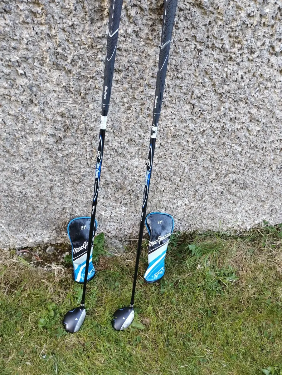 2 lovely hybrid's 21 and 24 - Image 2