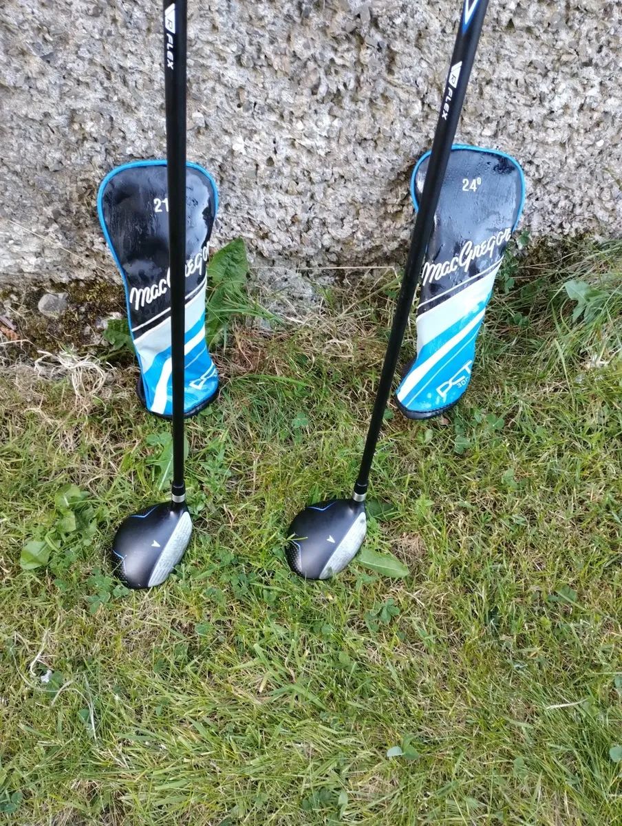 2 lovely hybrid's 21 and 24 - Image 3