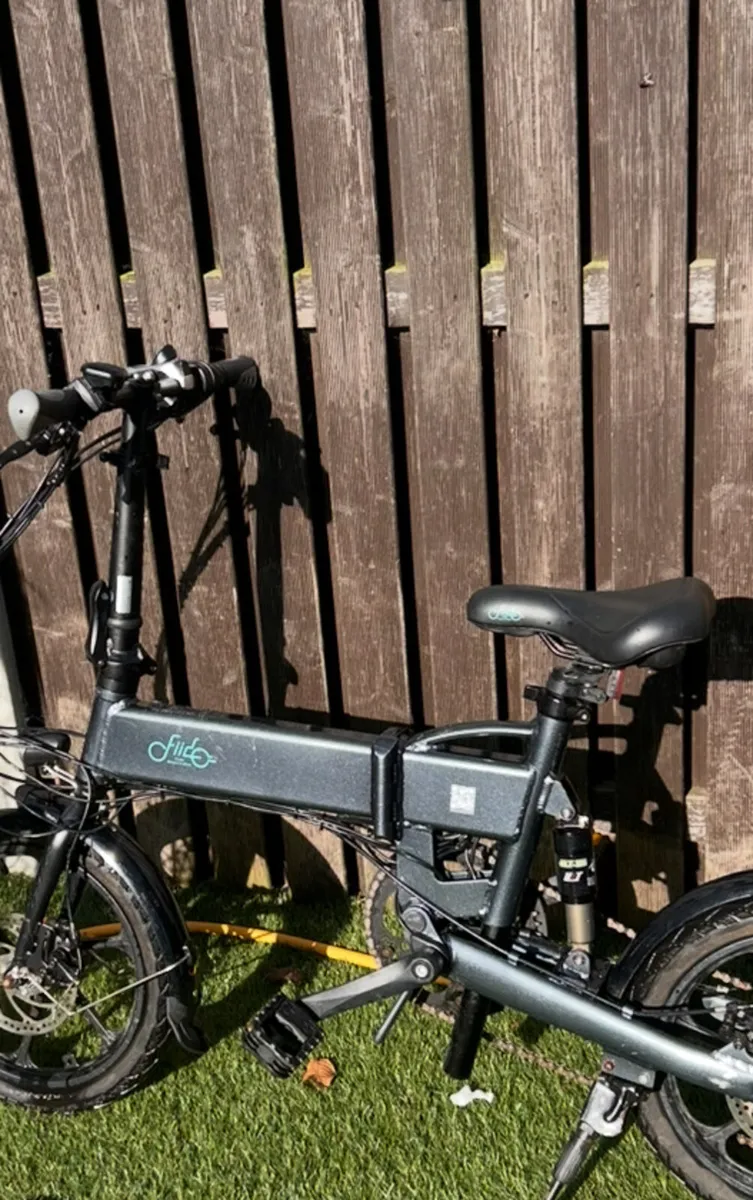 Fido - Image 1