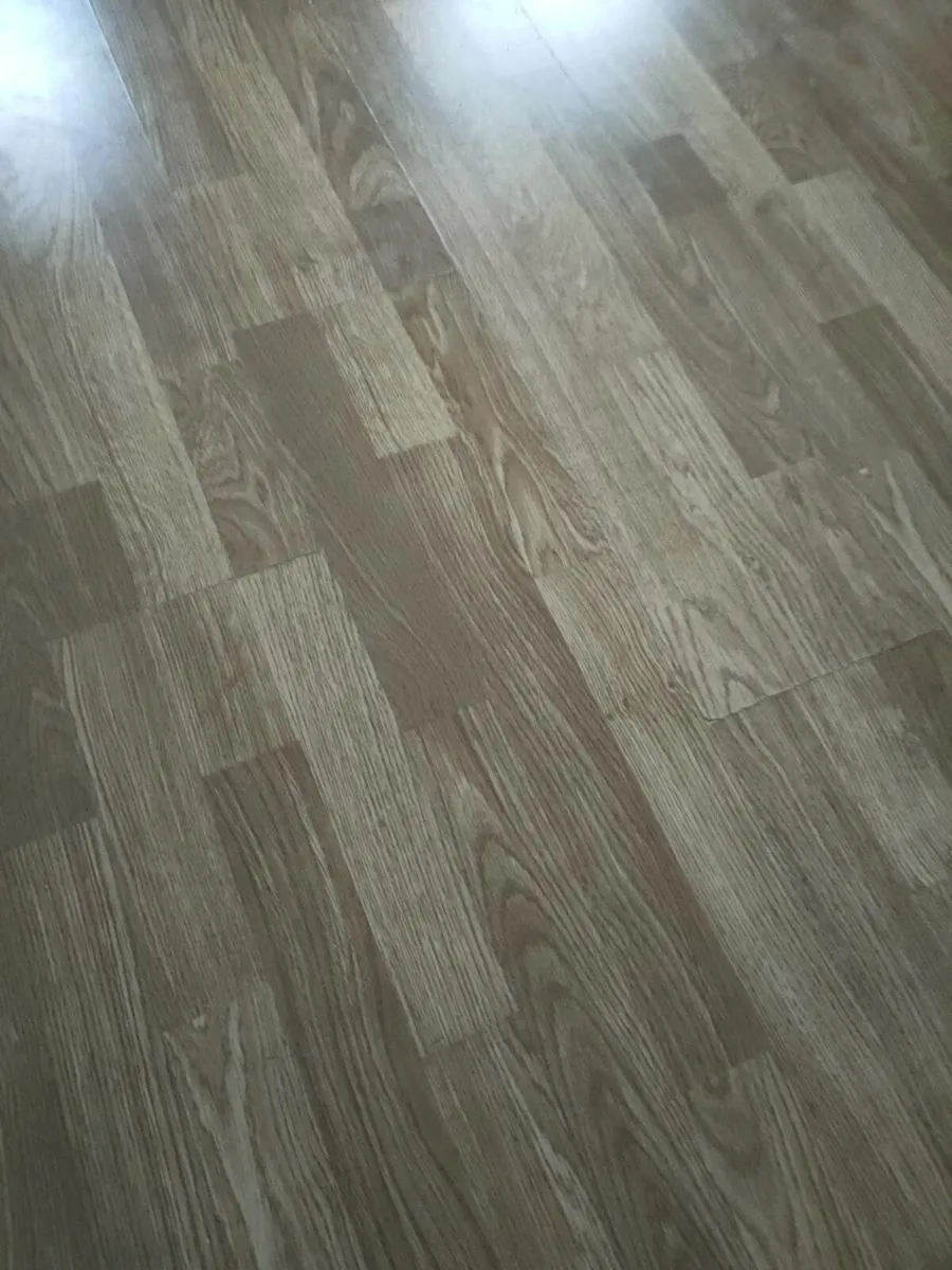 House cleaner -Leixlip