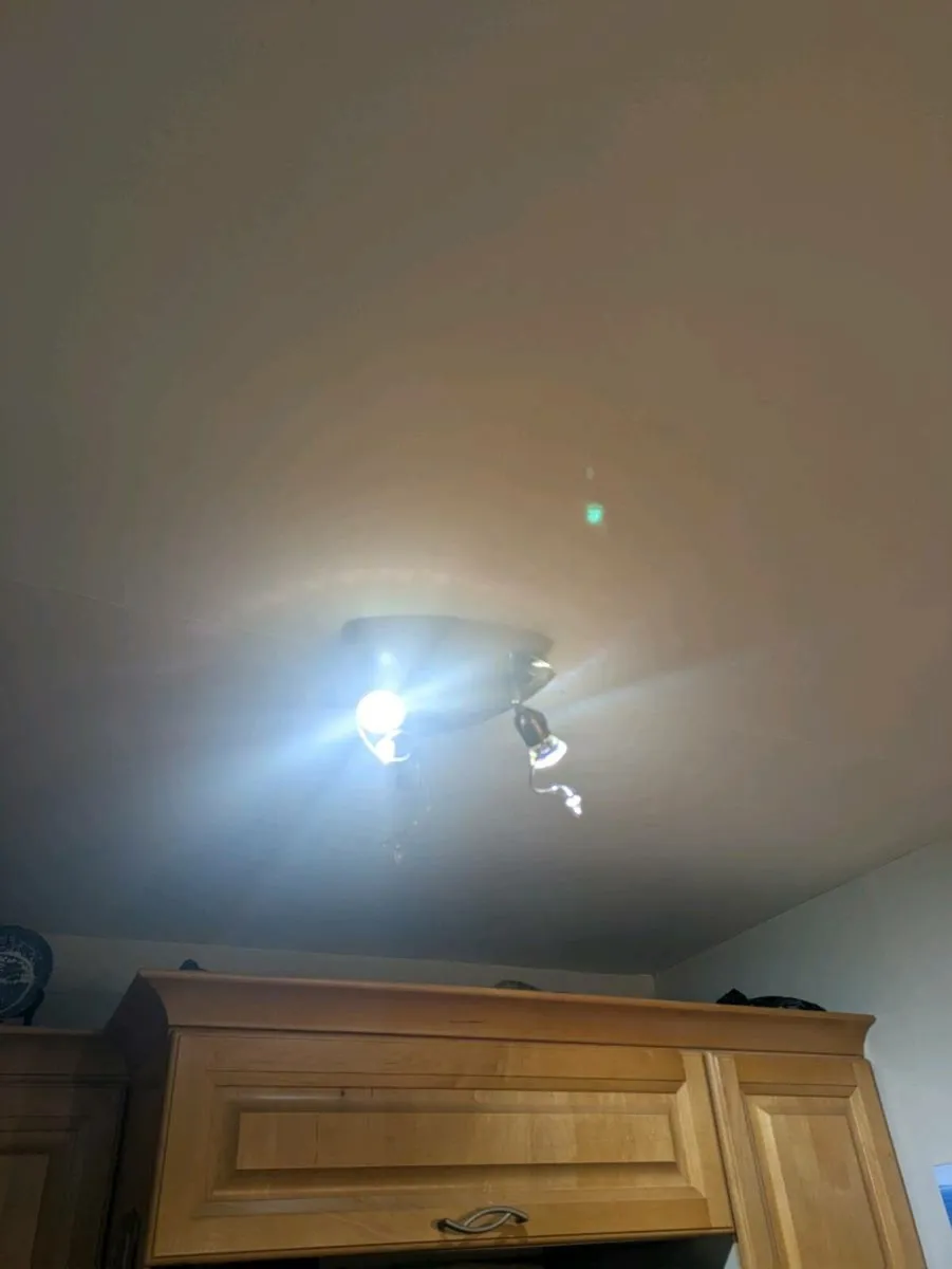 FREE Ceiling Lights - Image 4