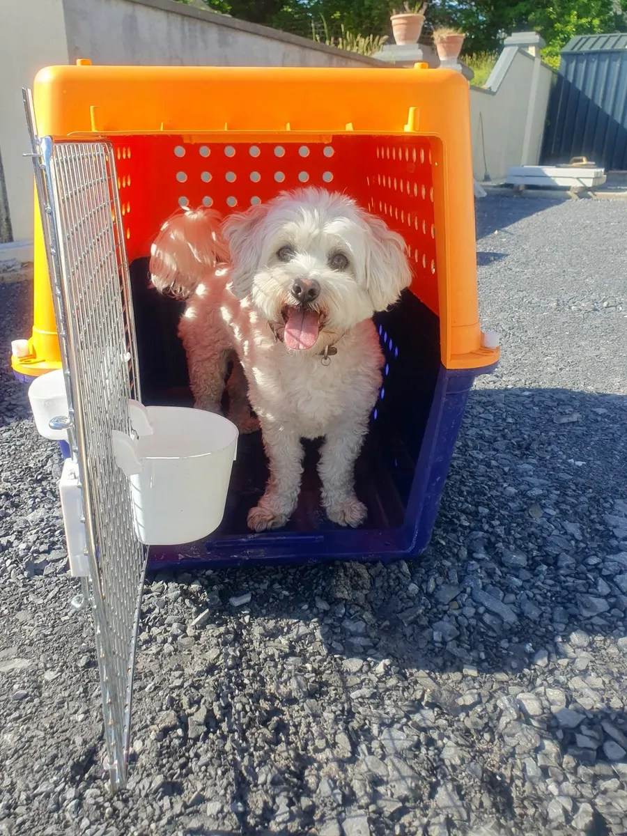 Airline Approved Pet Carrier - Image 1
