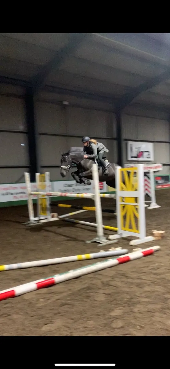 ⭐️ Talented 2015 mare ⭐️ - Image 4