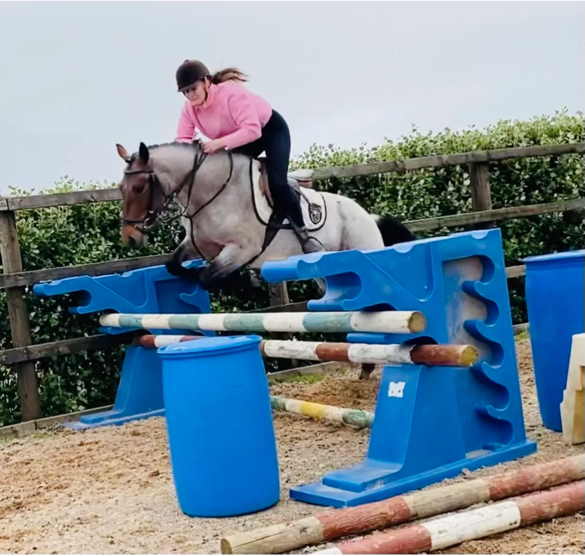 Ponies Clifden Friday May 16th - Image 3