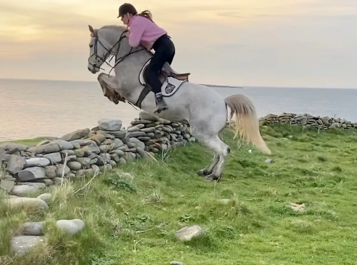 Ponies Clifden Friday May 16th - Image 1