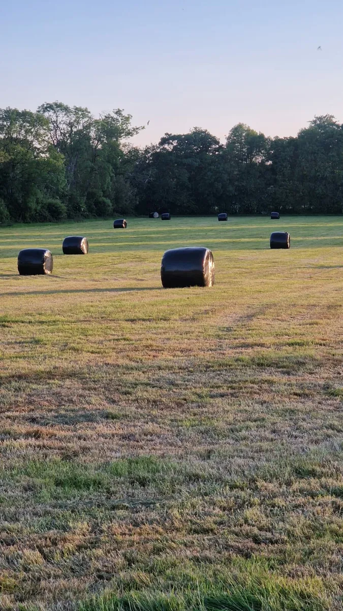 Silage bales
