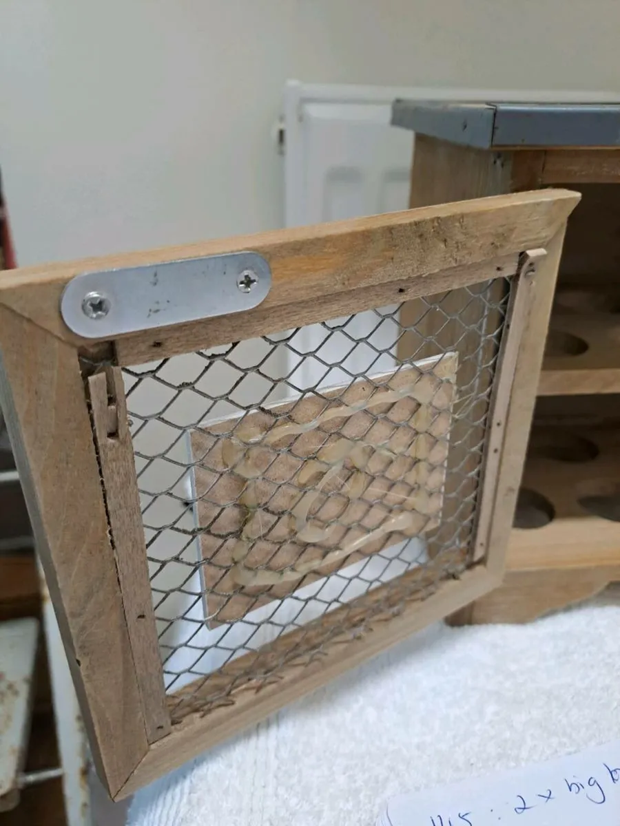 Vintage egg keeper house - Image 4