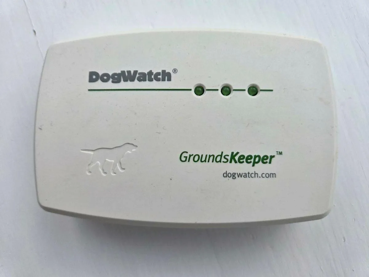 Dog Fence Hidden - Image 1
