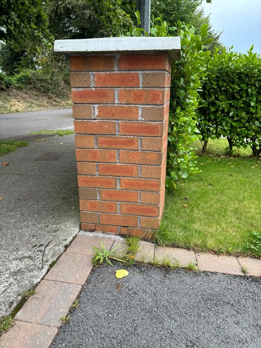 Red Bricks - Image 1