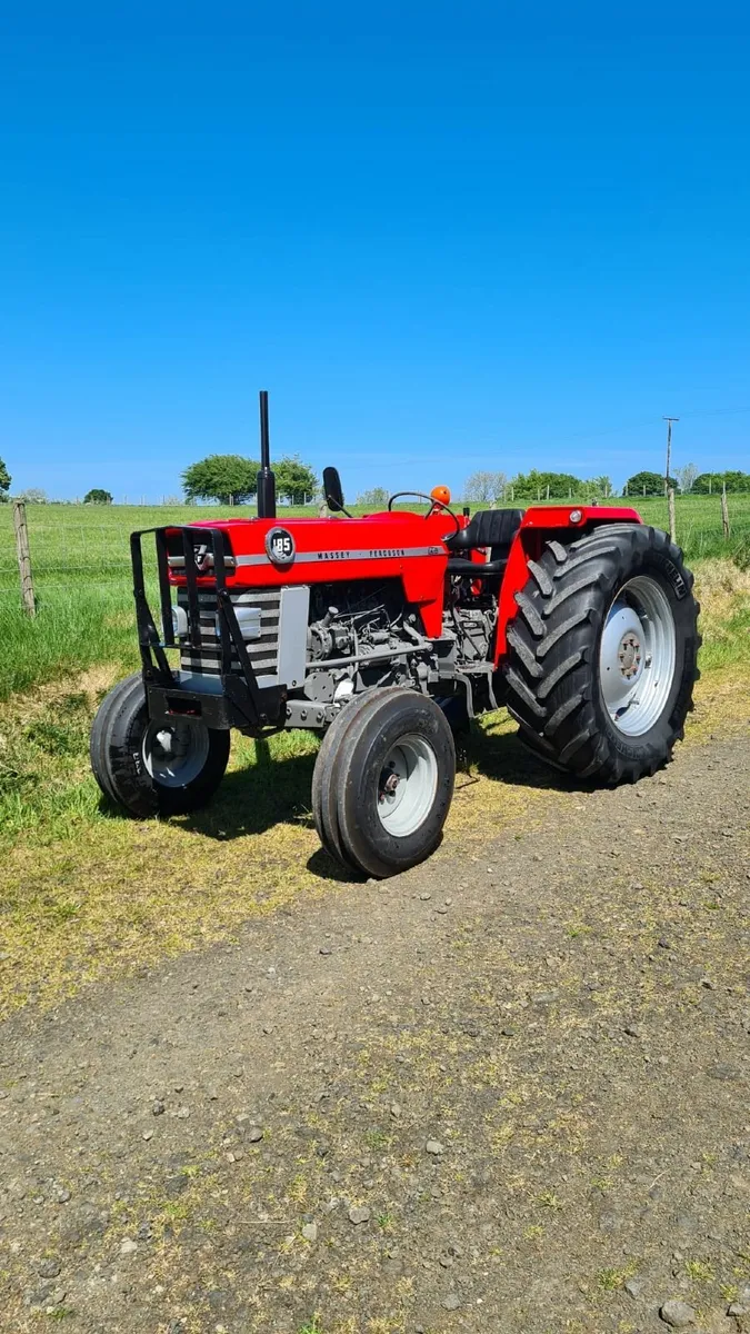 Massey Ferguson Other 1974