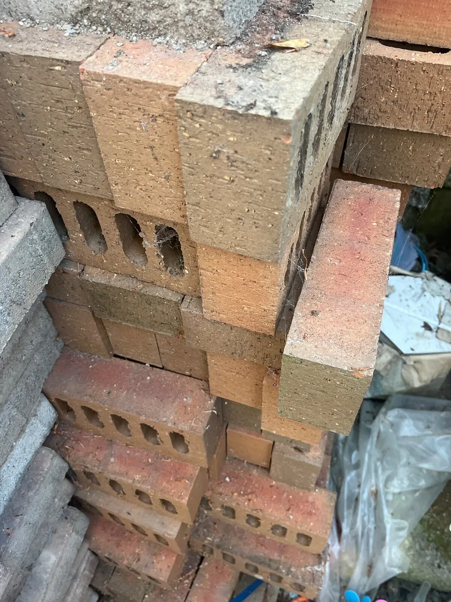 Red Bricks - Image 2