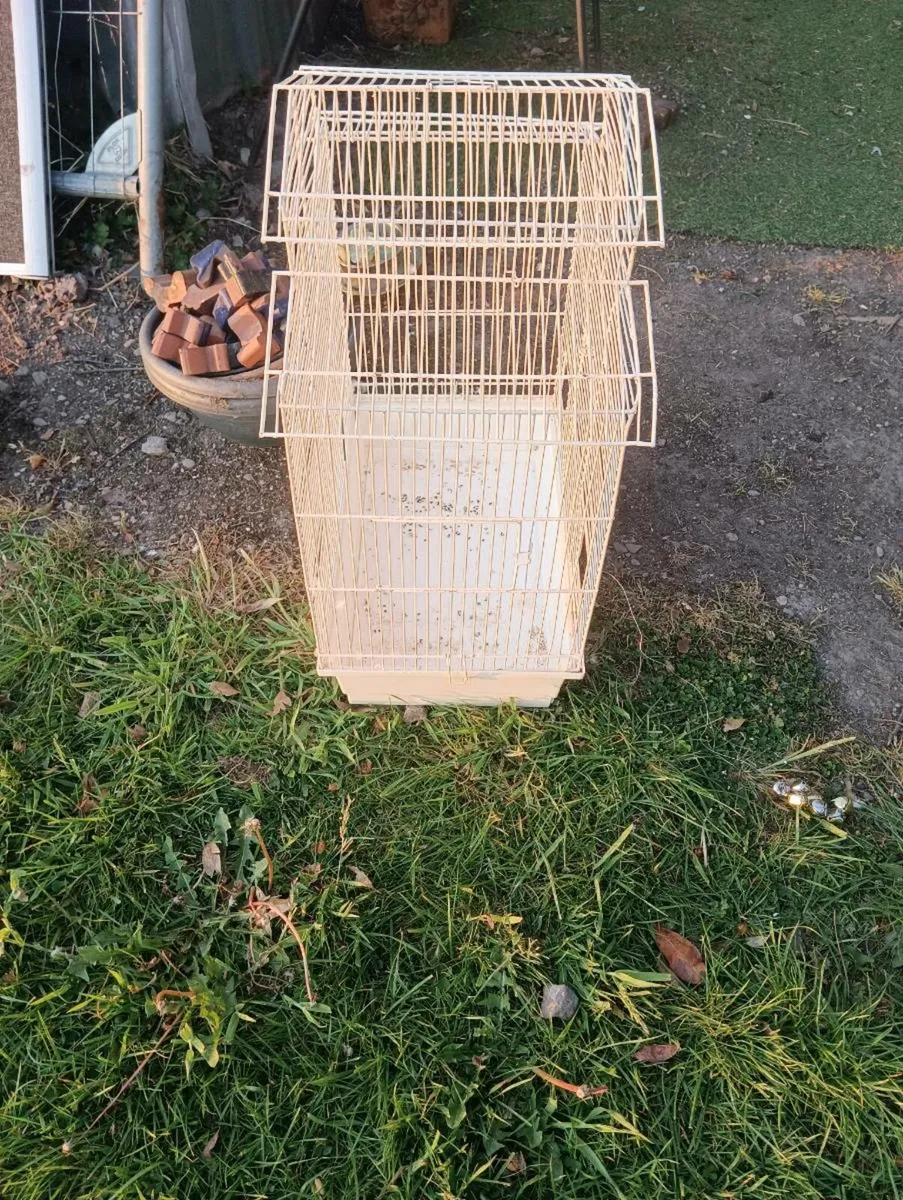 Bird cage - Image 4