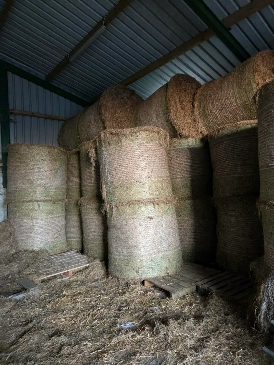 Excellent quality hay and haylage for sale - Image 1