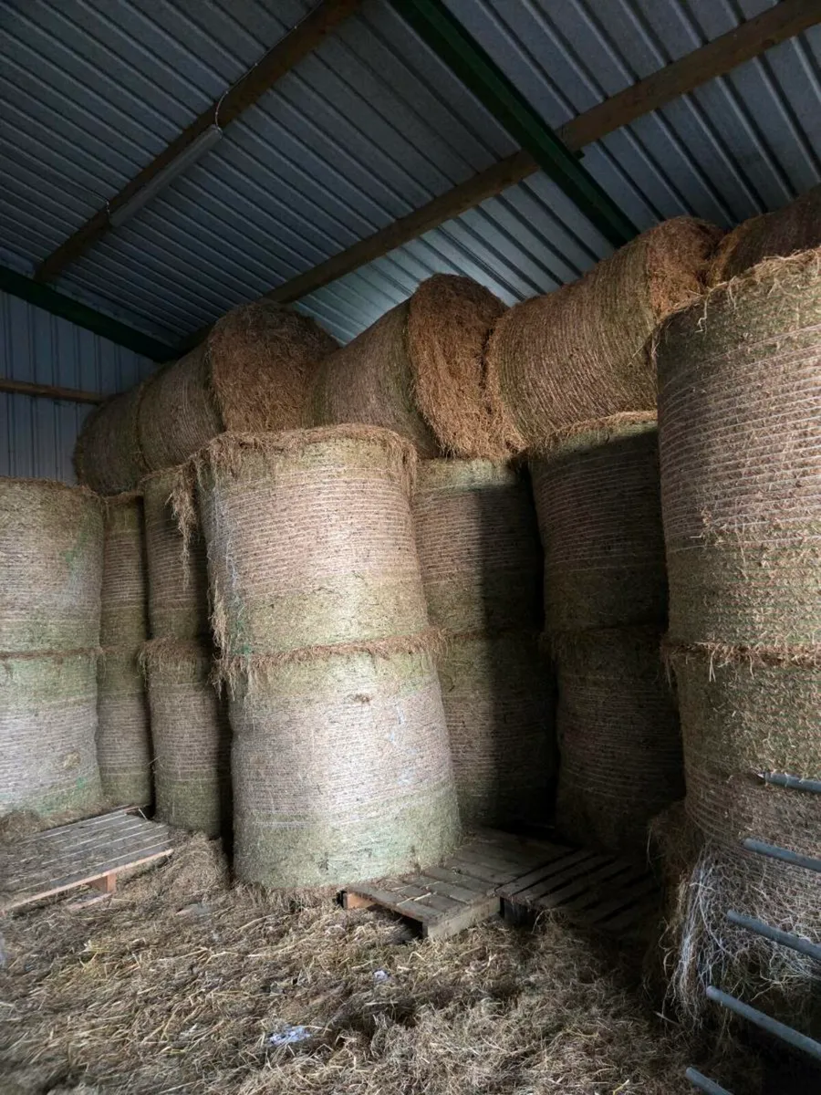 Excellent quality hay and haylage for sale - Image 2