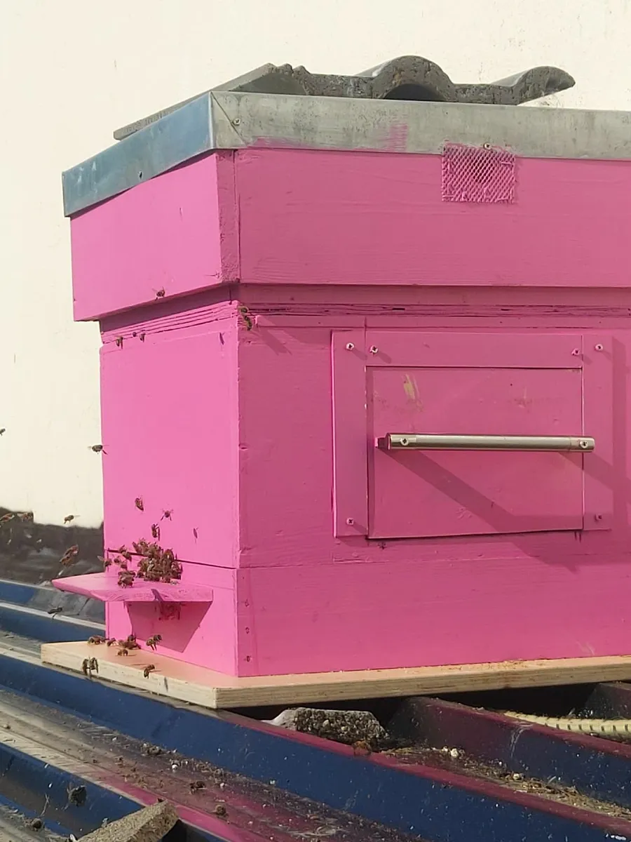 Beehive