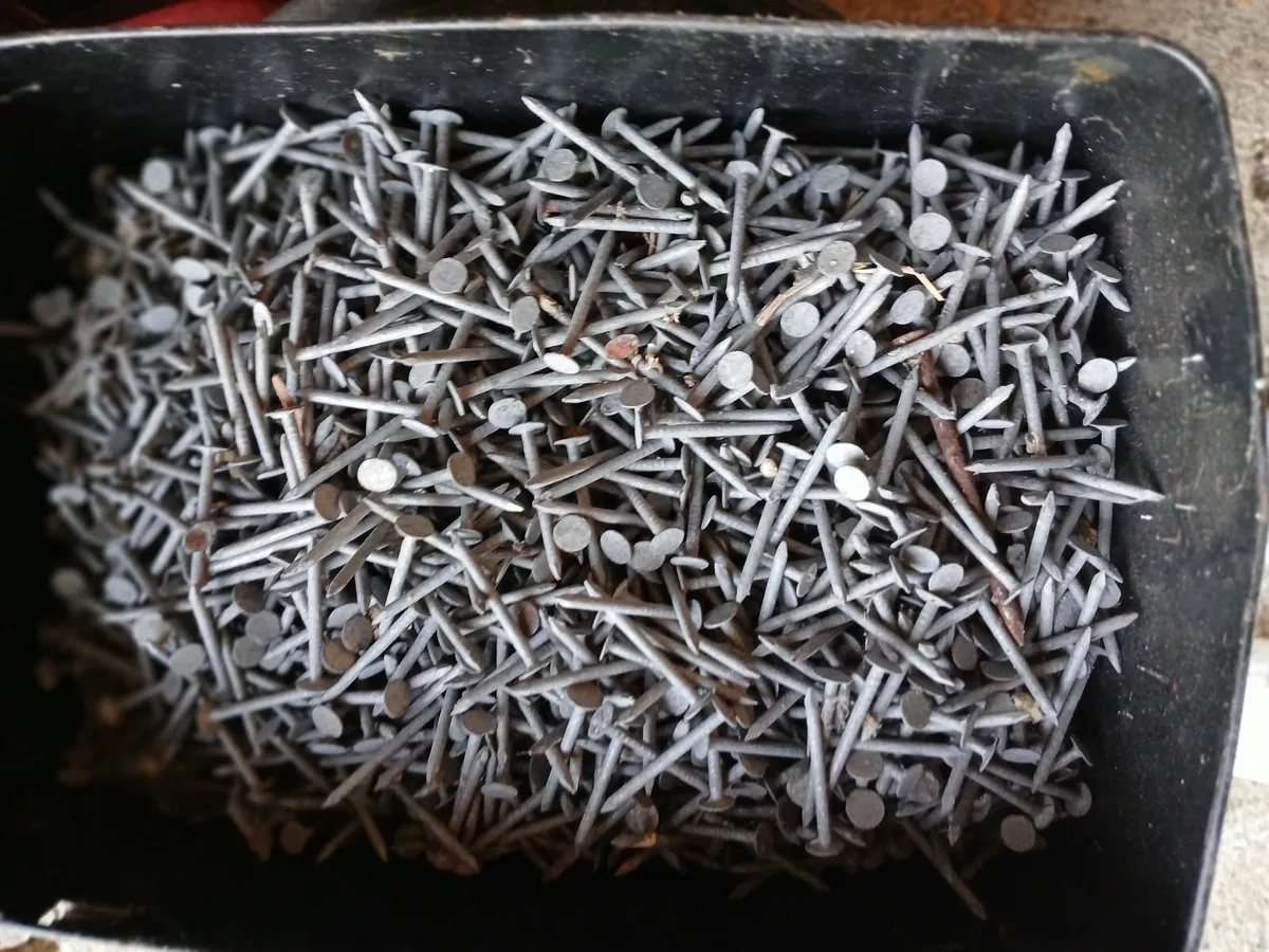 Nails - Image 2
