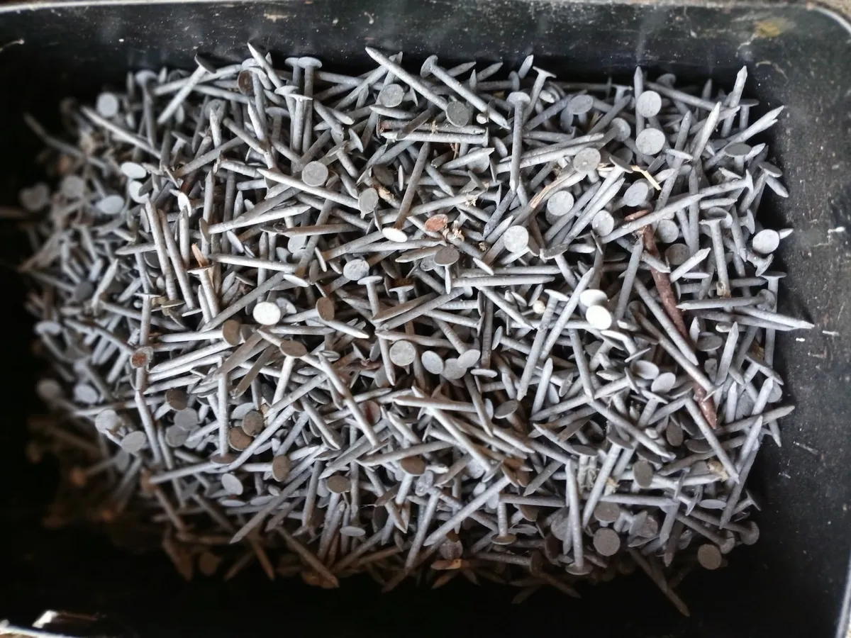 Nails - Image 4