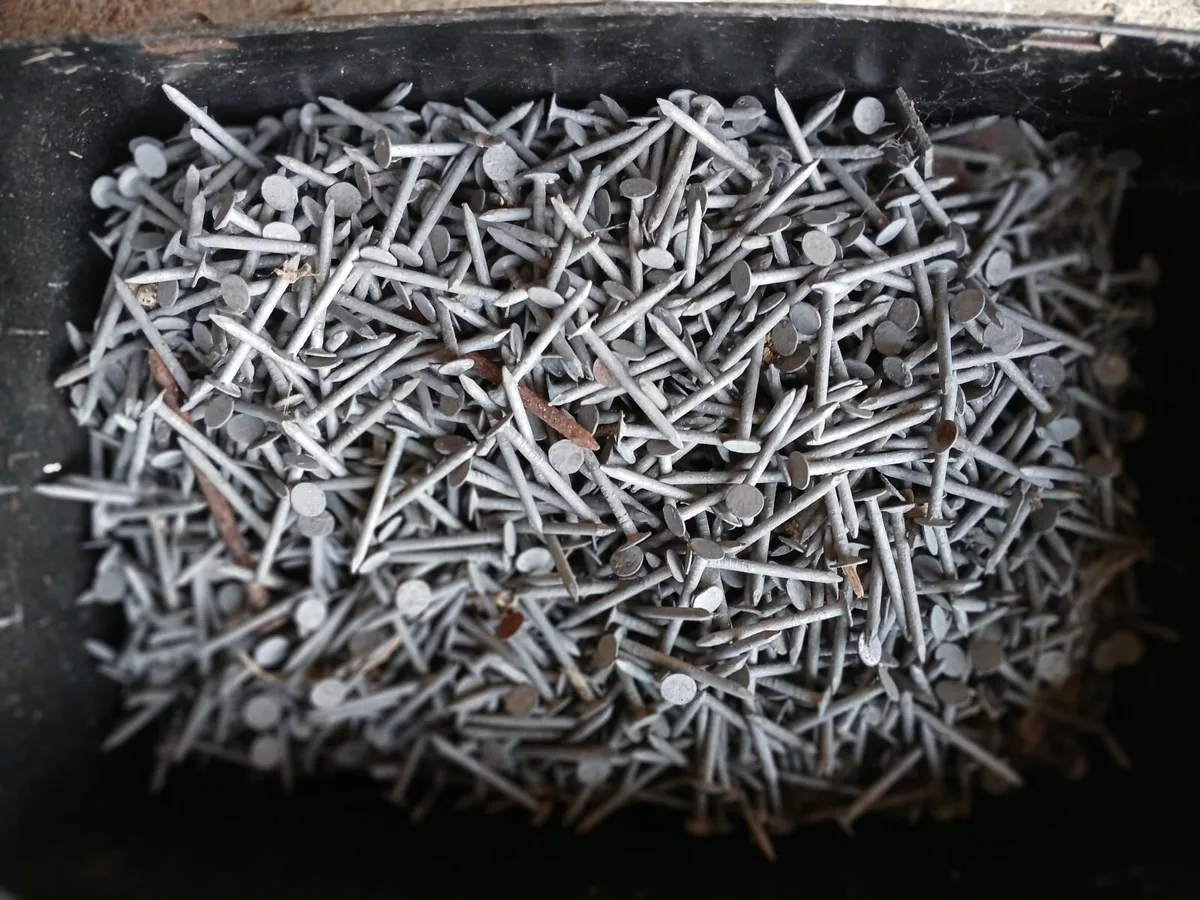 Nails - Image 2