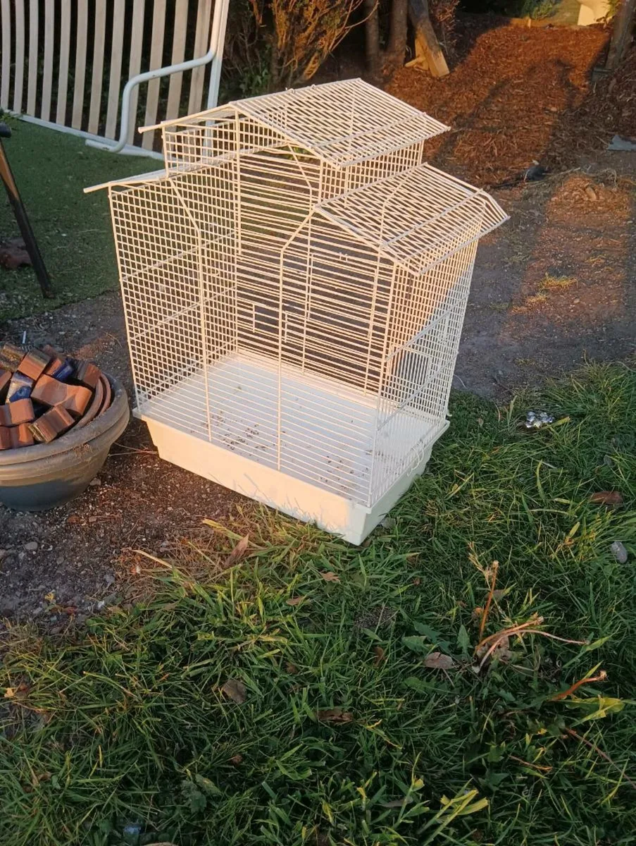 Bird cage - Image 1