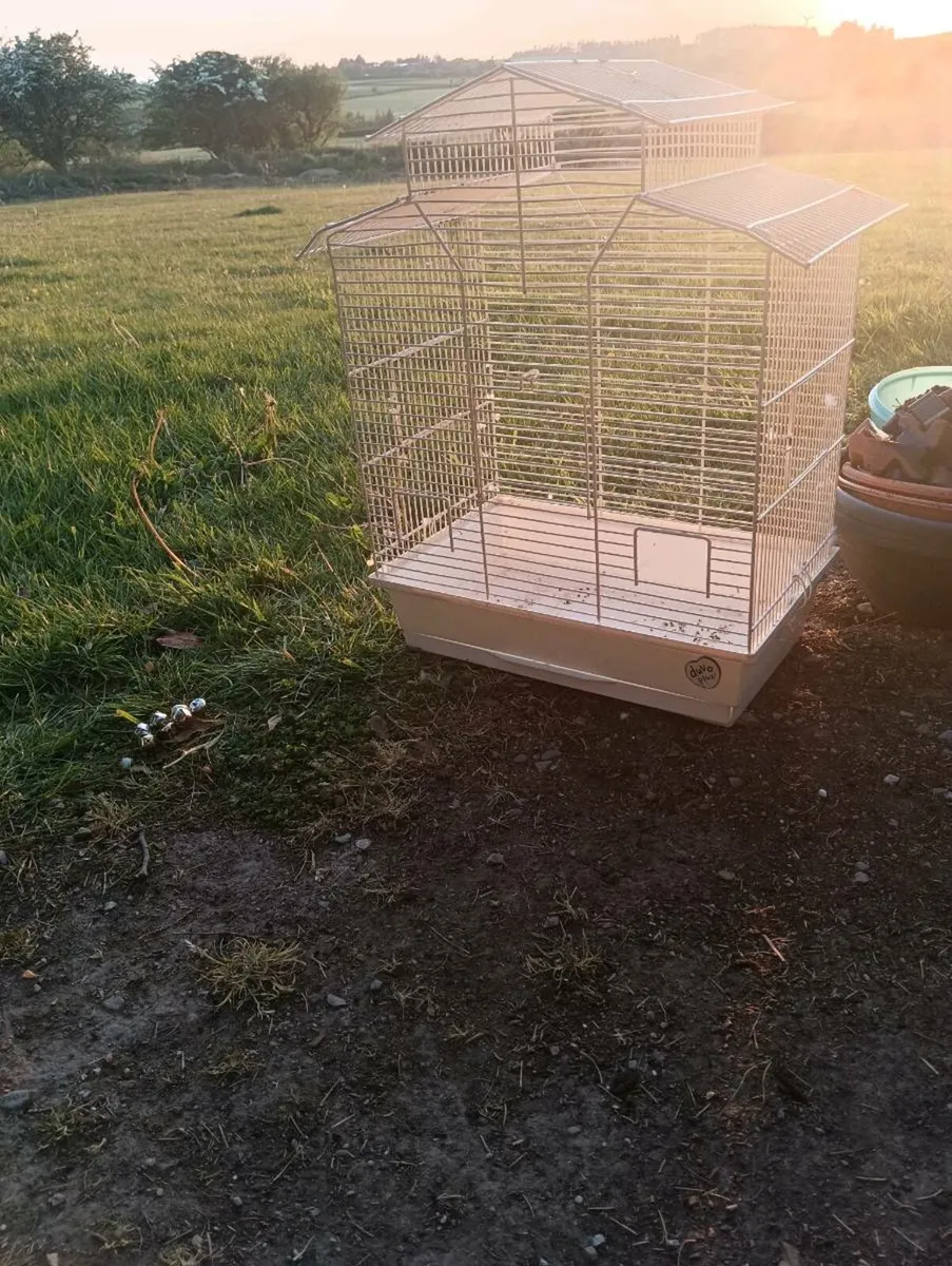 Bird cage - Image 2