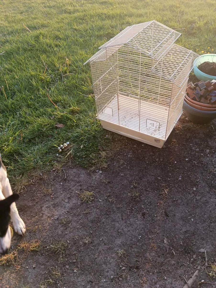 Bird cage - Image 3