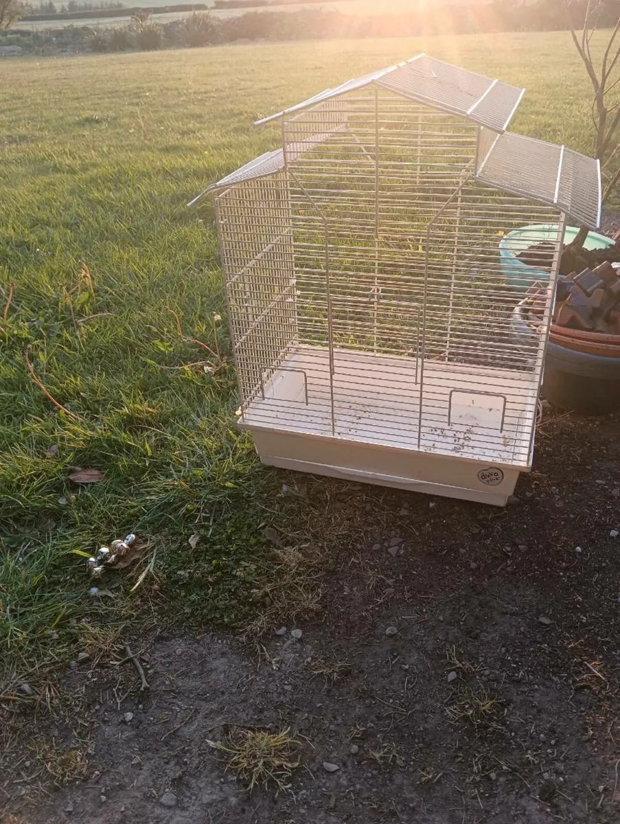 Bird cage - Image 4