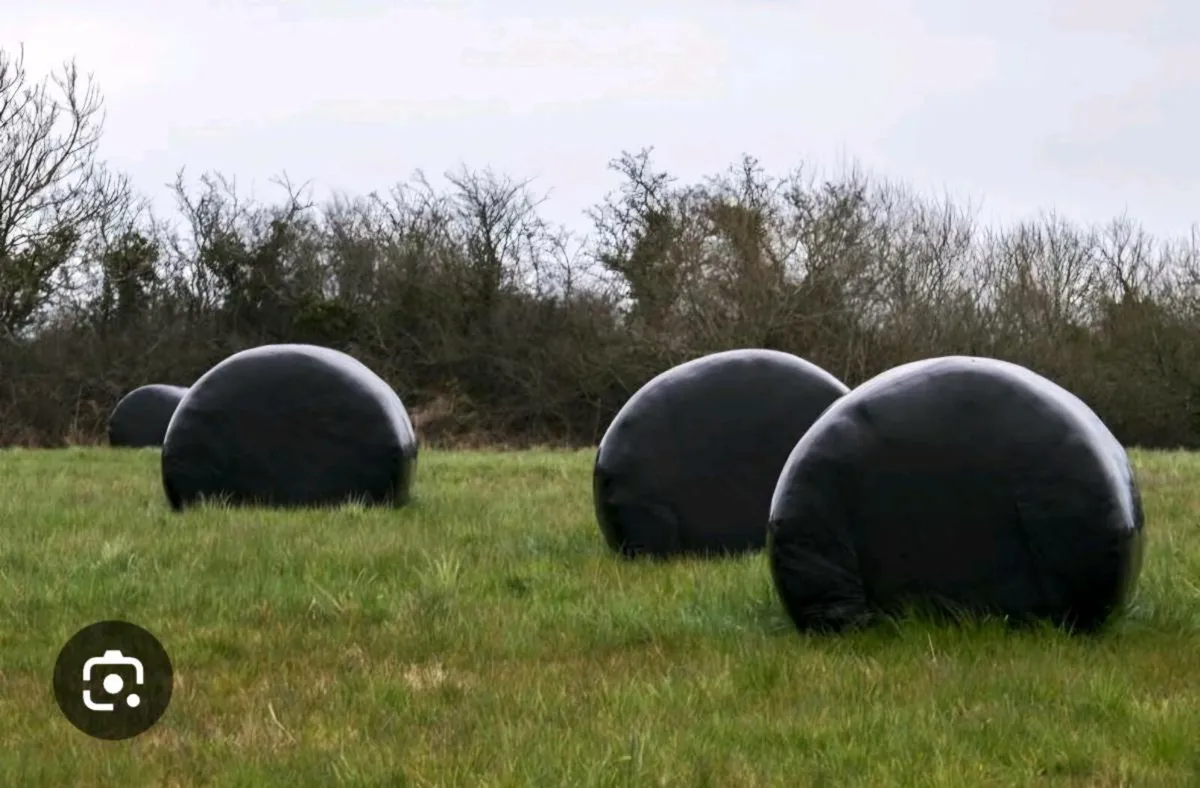Haylage