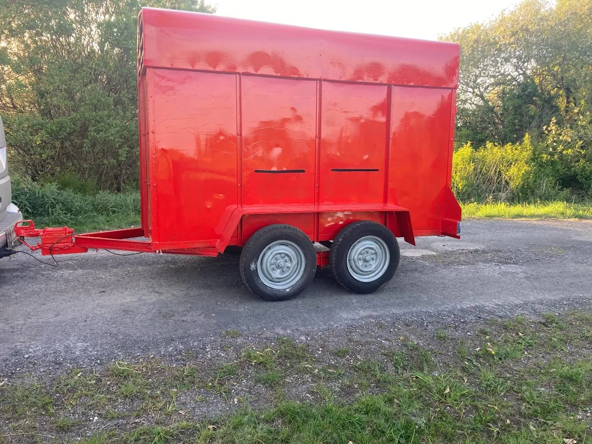 8 by 4  livestock trailer - Image 1