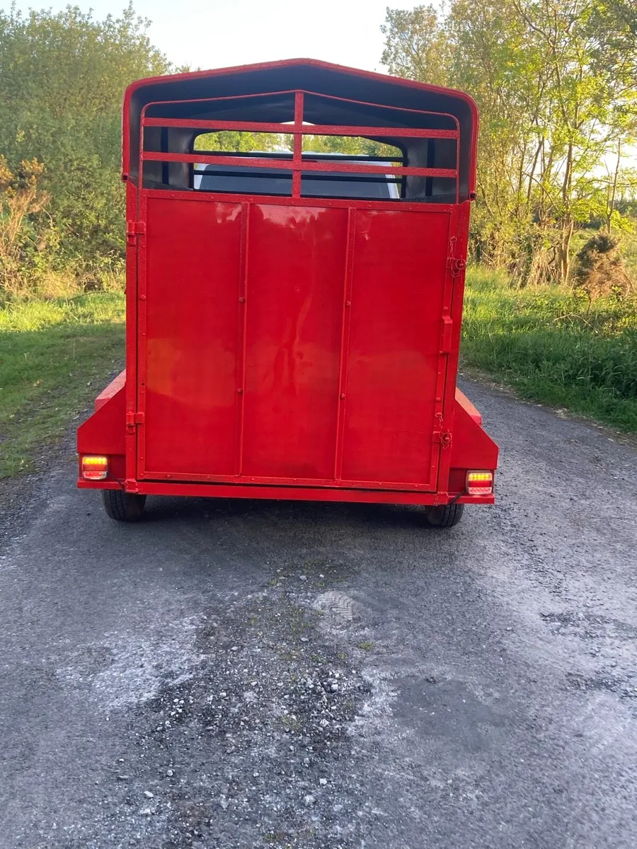 8 by 4  livestock trailer - Image 3