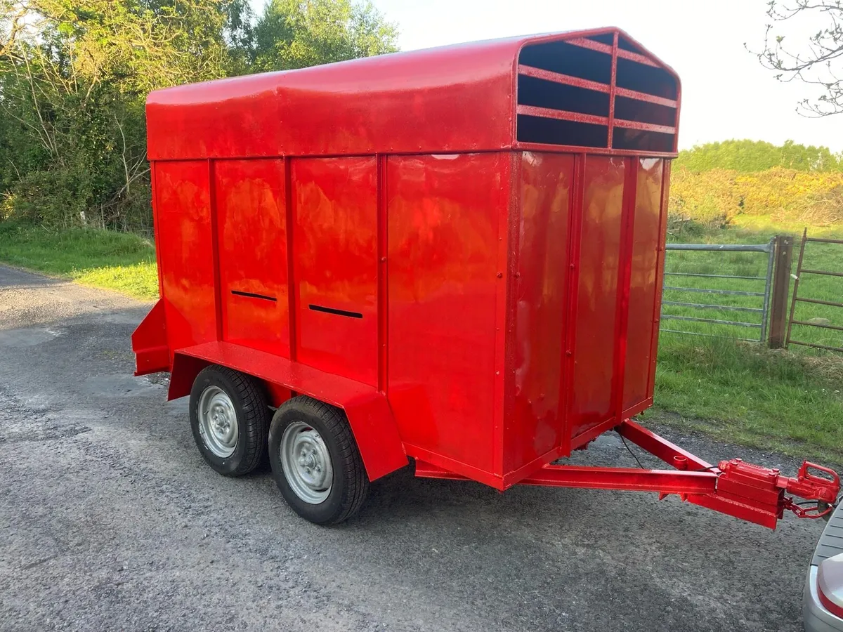 8 by 4  livestock trailer - Image 4