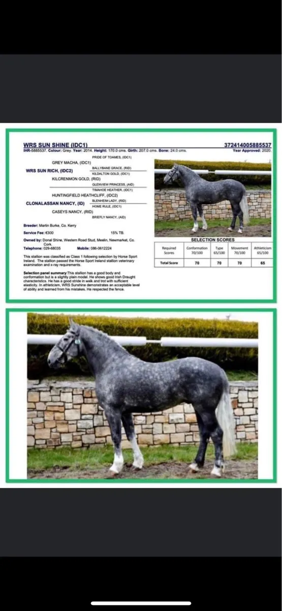 WRS SunShine IDC1 @stud - Image 3