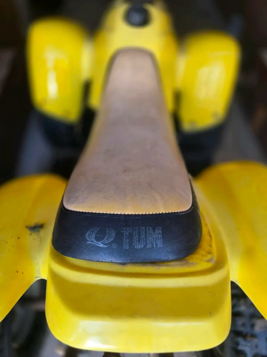 Quads - Image 3