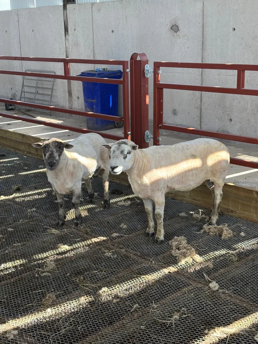 Texel & Sub Texel Ram - Image 1
